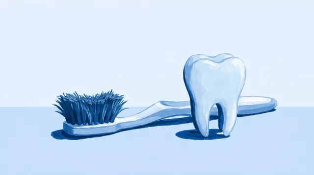 Un cepillo con las cerdas abiertas y deshechas por el uso, junto a un molar