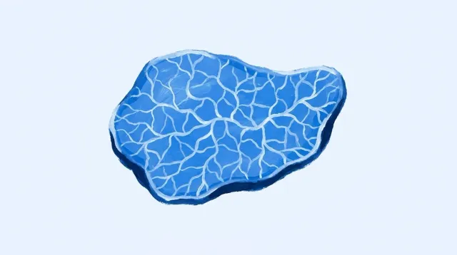 Una superficie de mucosa con un dibujo de líneas finas y claras entrelazadas