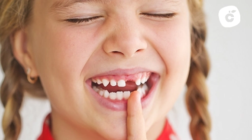 dientes leche nombre