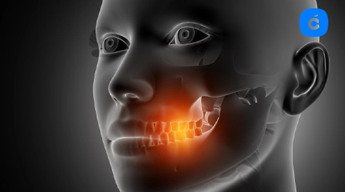 Articulación Temporomandibular ATM