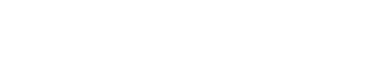Logo 20 aniversario footer